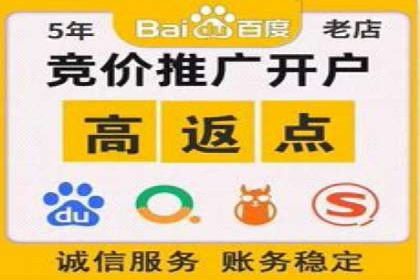成功背后的力量：SEM推广代运营公司的故事